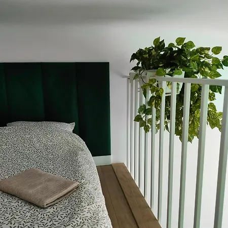 Apartament Paradise Zarzadzany Przez Gospodarza Osobe Fizyczna Self Check In Rzeszów Exteriér fotografie